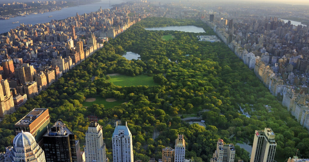 Managed IT support and cybersecurity for healthcare organizations in Manhattan